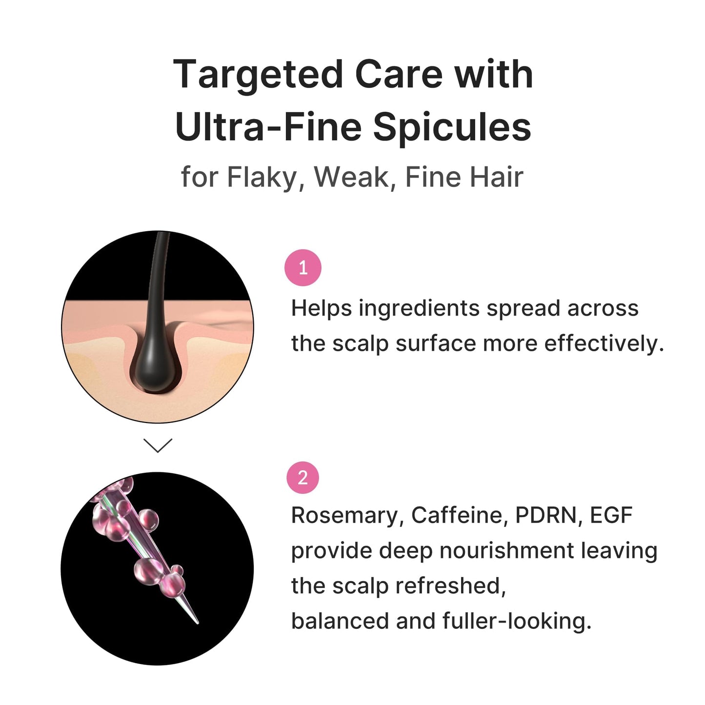 Rosemary PDRN Hair Care Set